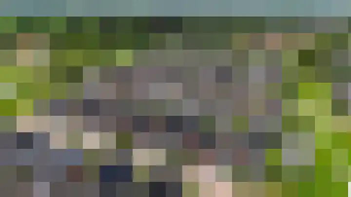 Boskbei 13 Surhuisterveen thumbnail 61