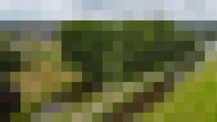 Boskbei 13 Surhuisterveen thumbnail 62
