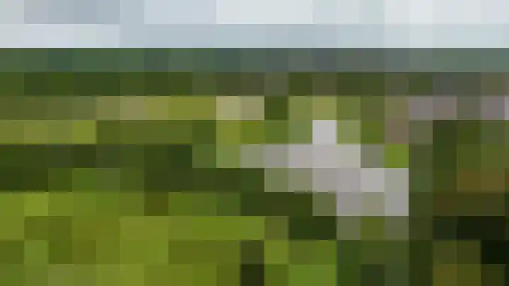 Boskbei 13 Surhuisterveen thumbnail 63