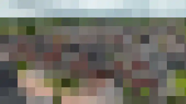 Boskbei 13 Surhuisterveen thumbnail 64