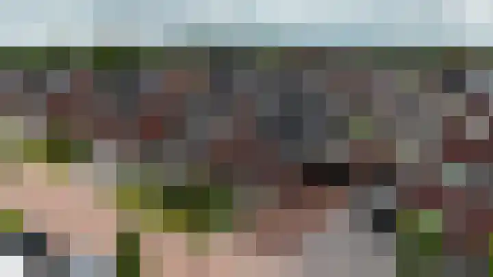 Boskbei 13 Surhuisterveen thumbnail 65