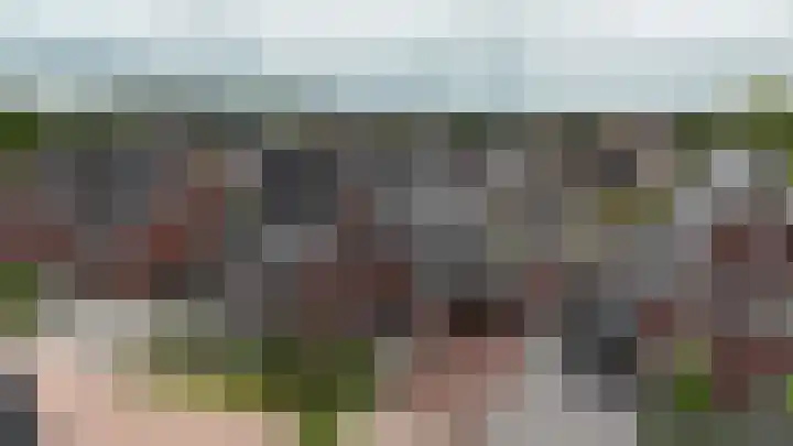 Boskbei 13 Surhuisterveen thumbnail 66