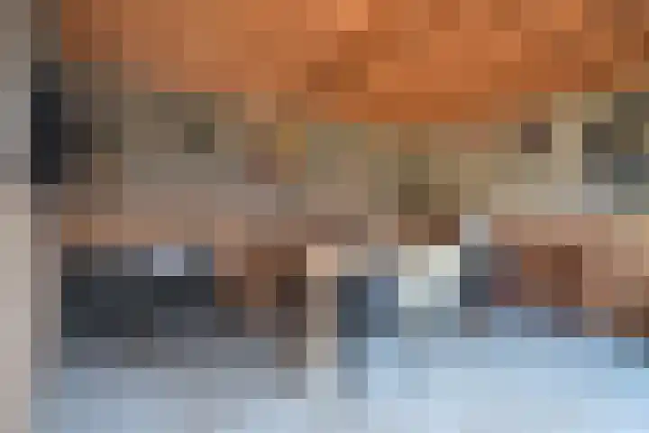 Boskbei 3 Surhuisterveen thumbnail 14