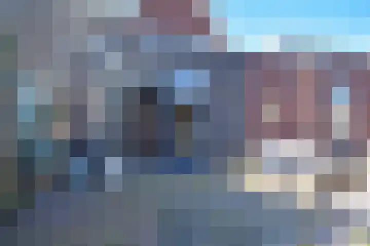 Boskbei 3 Surhuisterveen thumbnail 18