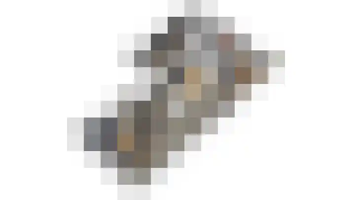 Boskbei 3 Surhuisterveen thumbnail 19