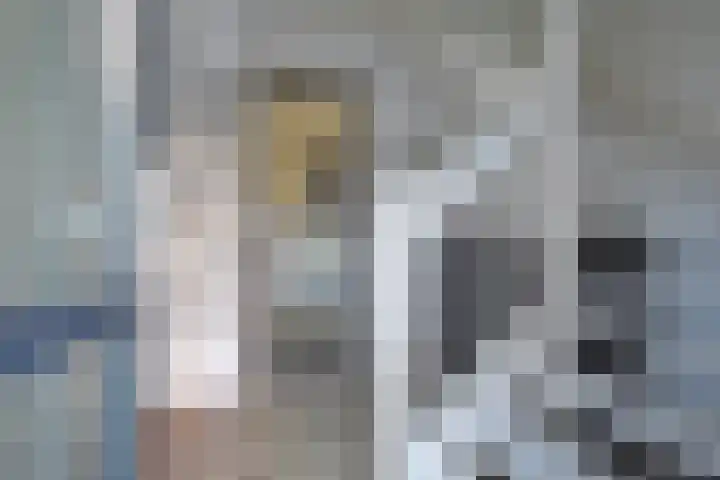 Boskbei 3 Surhuisterveen thumbnail 20