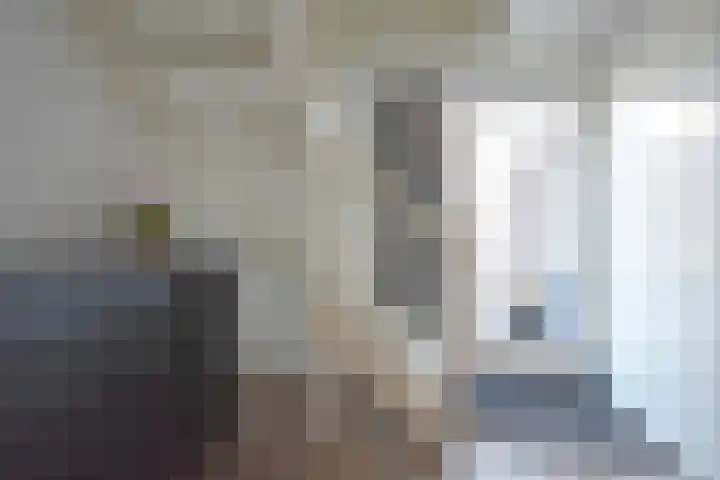 Boskbei 3 Surhuisterveen thumbnail 22