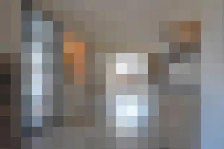Boskbei 3 Surhuisterveen thumbnail 29