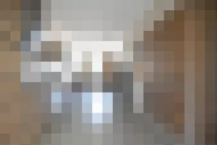 Boskbei 3 Surhuisterveen thumbnail 33