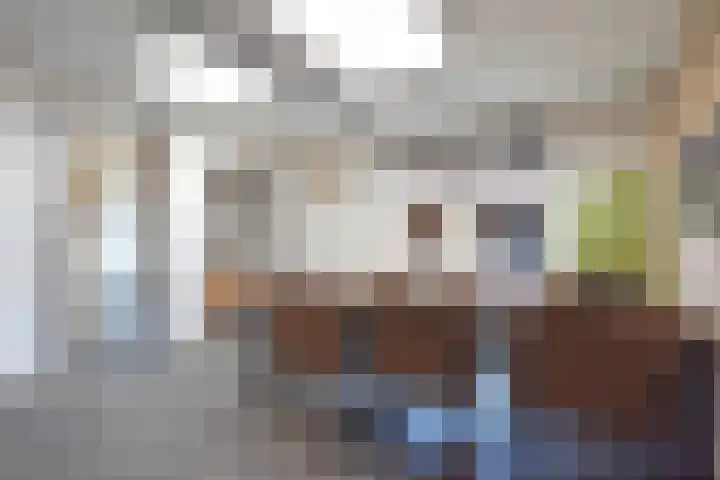 Boskbei 3 Surhuisterveen thumbnail 35