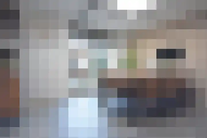 Boskbei 3 Surhuisterveen thumbnail 37