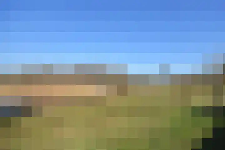 Boskbei 3 Surhuisterveen thumbnail 4