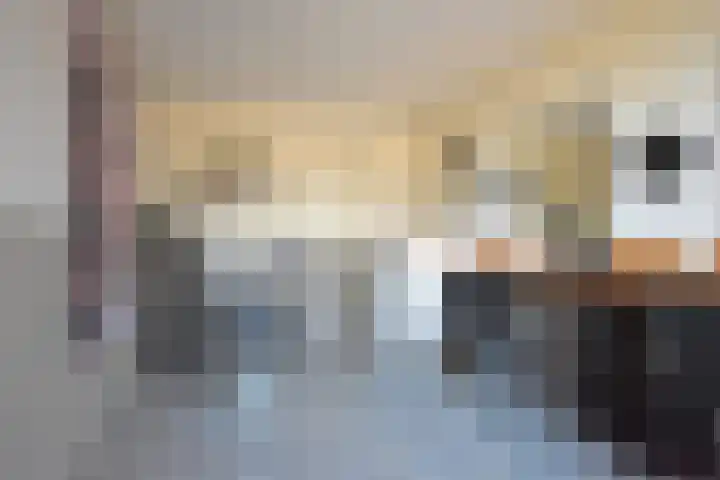 Boskbei 3 Surhuisterveen thumbnail 45