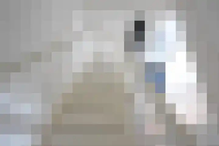 Boskbei 3 Surhuisterveen thumbnail 48