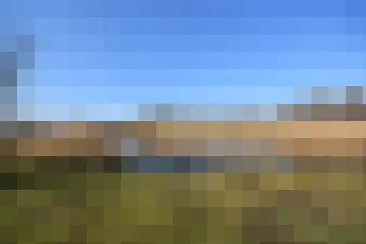 Boskbei 3 Surhuisterveen thumbnail 5
