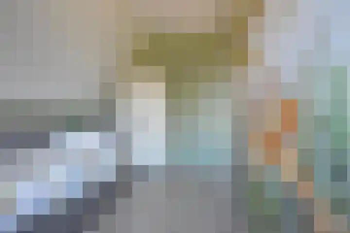 Boskbei 3 Surhuisterveen thumbnail 51