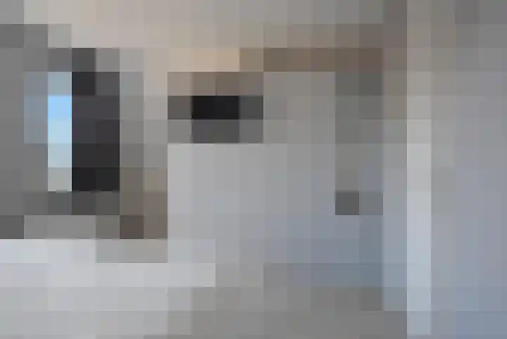 Boskbei 3 Surhuisterveen thumbnail 56
