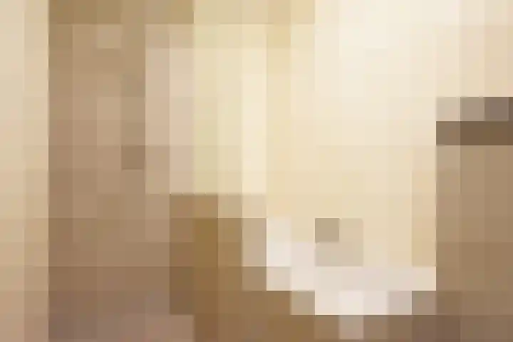 Boskbei 3 Surhuisterveen thumbnail 58