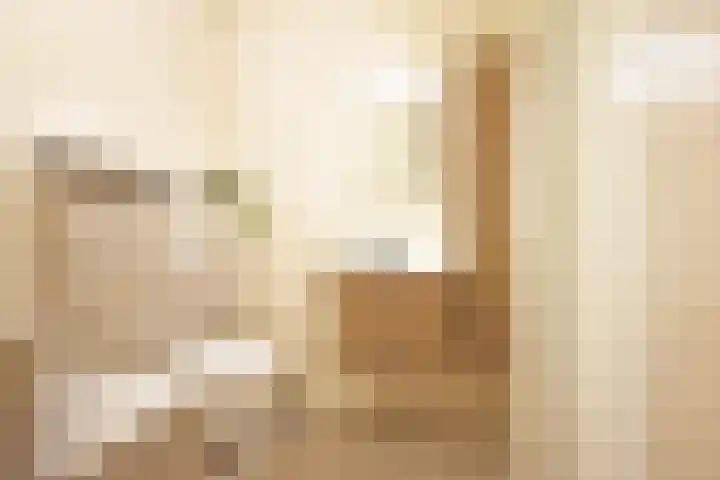 Boskbei 3 Surhuisterveen thumbnail 59