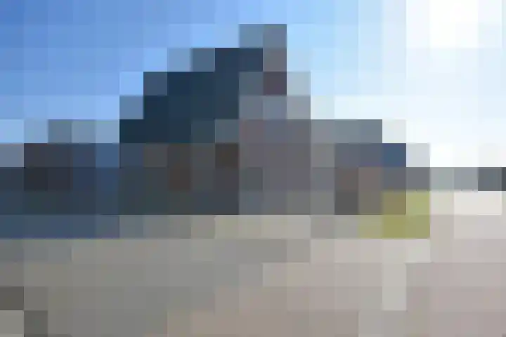 Boskbei 3 Surhuisterveen thumbnail 6