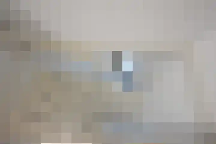 Boskbei 3 Surhuisterveen thumbnail 61