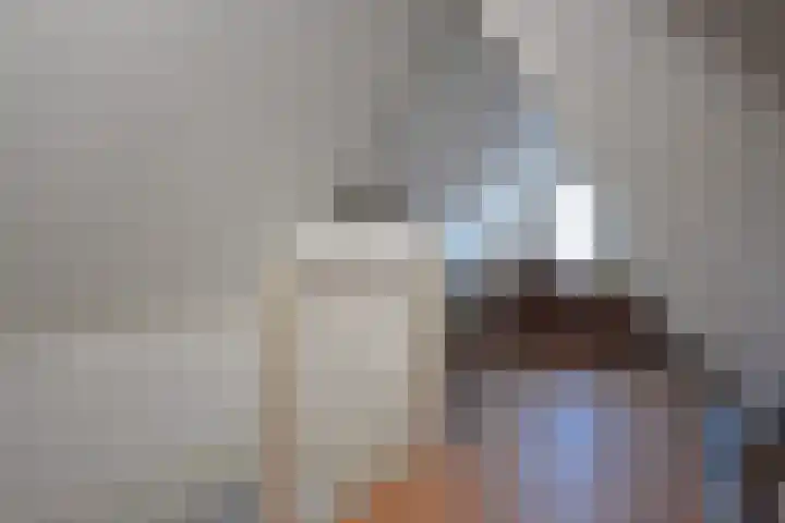 Boskbei 3 Surhuisterveen thumbnail 62