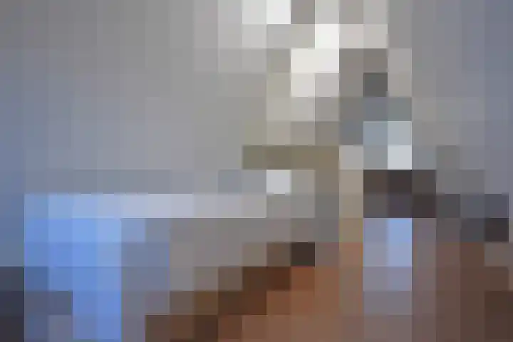 Boskbei 3 Surhuisterveen thumbnail 65