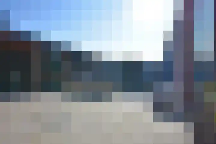 Boskbei 3 Surhuisterveen thumbnail 9