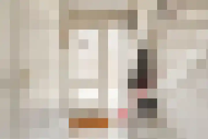 Boskdobbe 5 Frieschepalen thumbnail 10