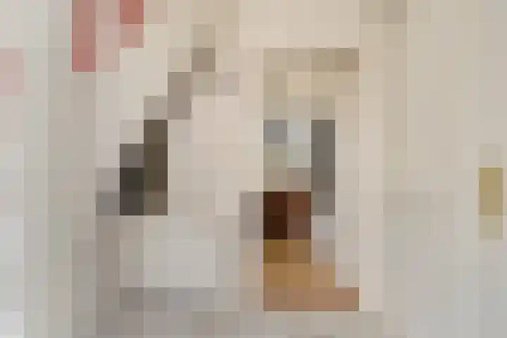 Boskdobbe 5 Frieschepalen thumbnail 11
