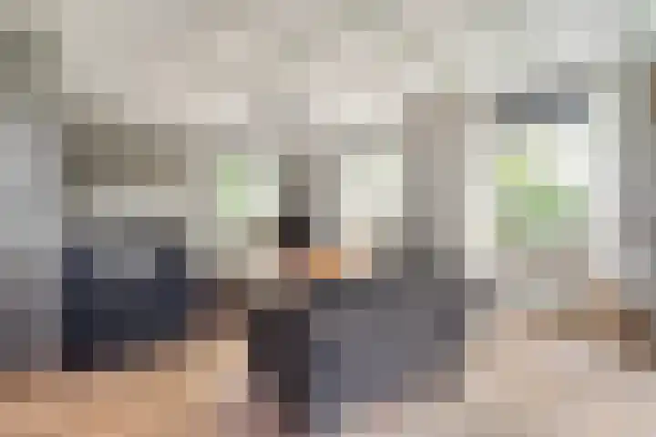Boskdobbe 5 Frieschepalen thumbnail 14