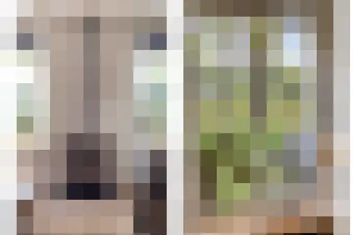 Boskdobbe 5 Frieschepalen thumbnail 15