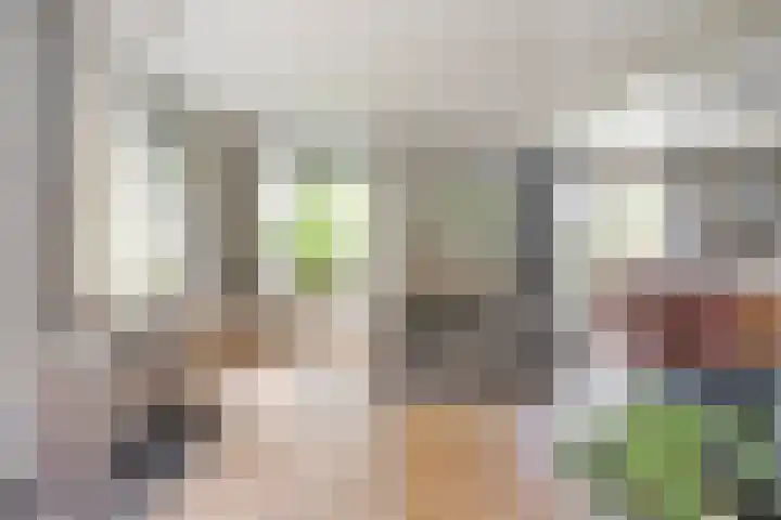 Boskdobbe 5 Frieschepalen thumbnail 17
