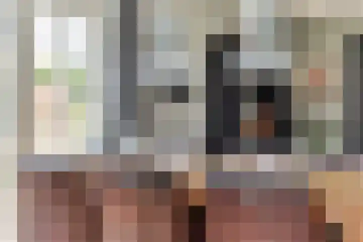 Boskdobbe 5 Frieschepalen thumbnail 19