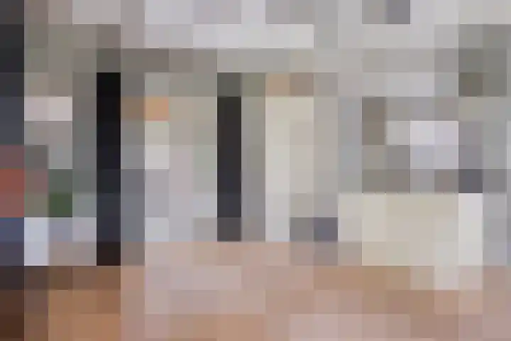 Boskdobbe 5 Frieschepalen thumbnail 21