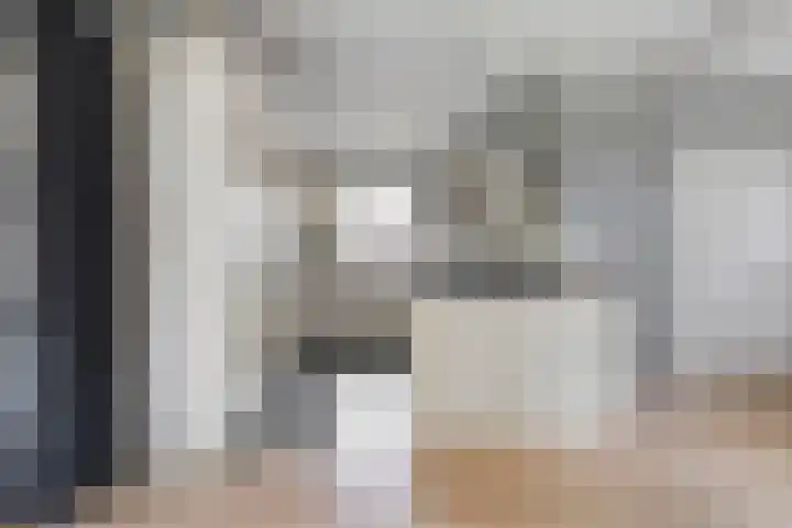 Boskdobbe 5 Frieschepalen thumbnail 22
