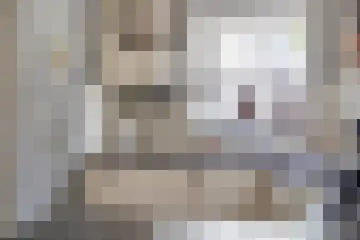 Boskdobbe 5 Frieschepalen thumbnail 24