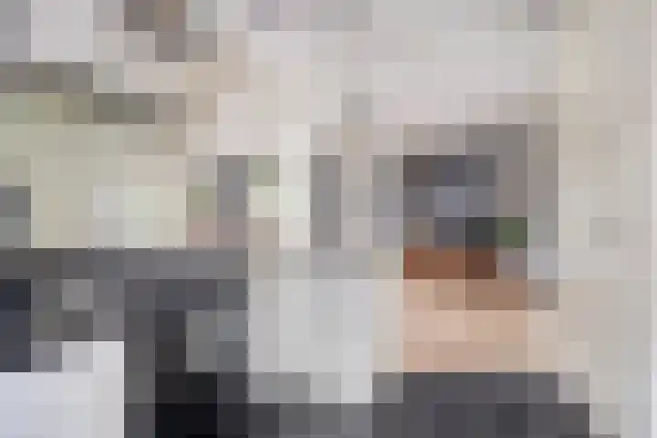 Boskdobbe 5 Frieschepalen thumbnail 25