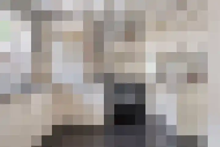 Boskdobbe 5 Frieschepalen thumbnail 26