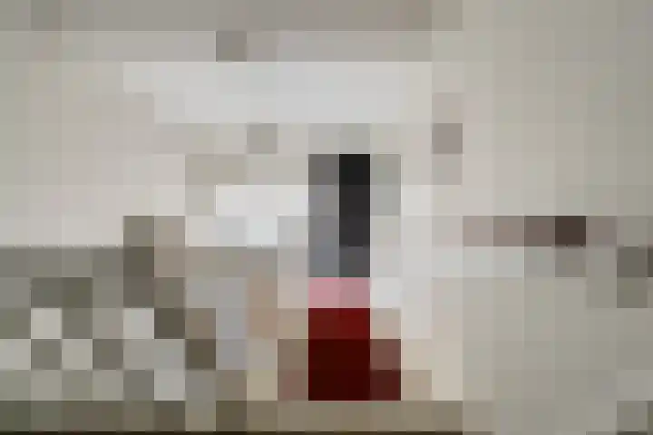 Boskdobbe 5 Frieschepalen thumbnail 31