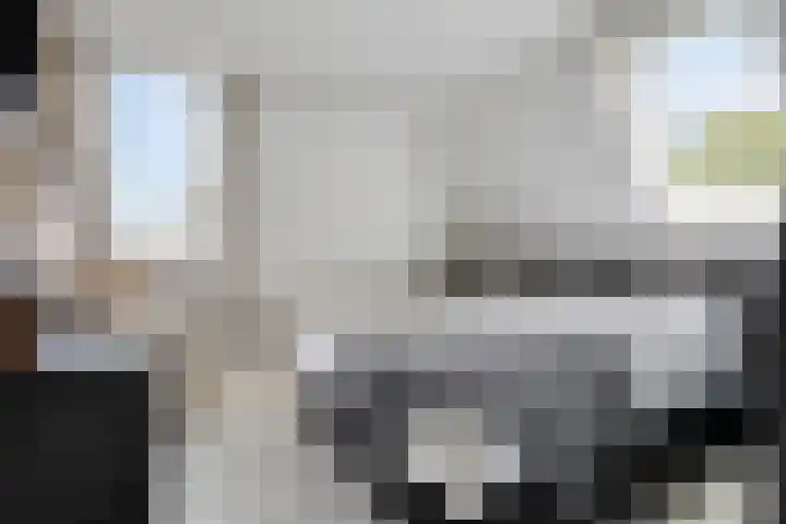 Boskdobbe 5 Frieschepalen thumbnail 34
