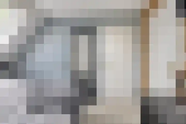 Boskdobbe 5 Frieschepalen thumbnail 35