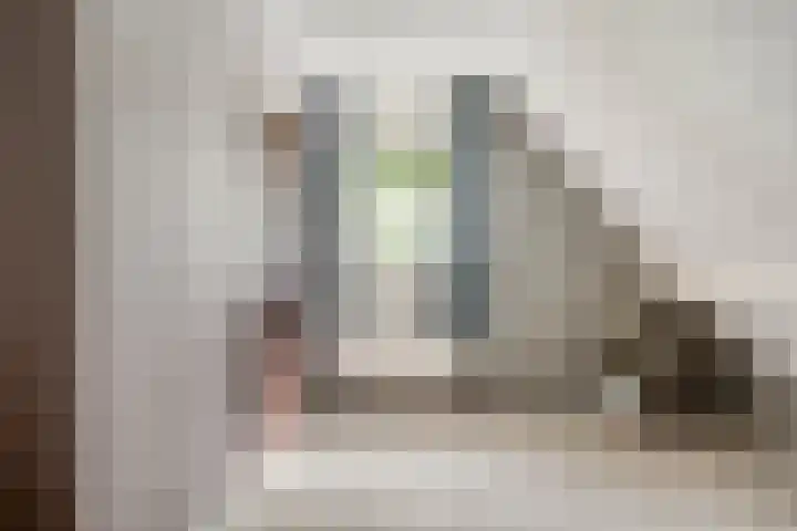 Boskdobbe 5 Frieschepalen thumbnail 38