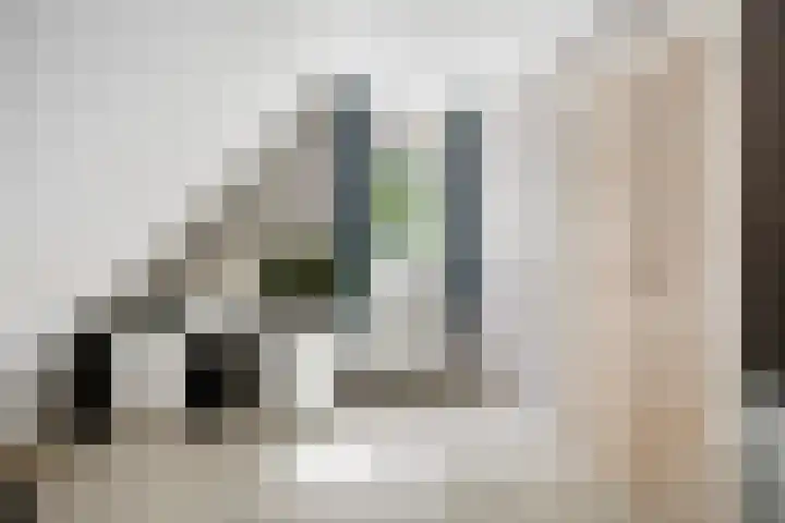 Boskdobbe 5 Frieschepalen thumbnail 40
