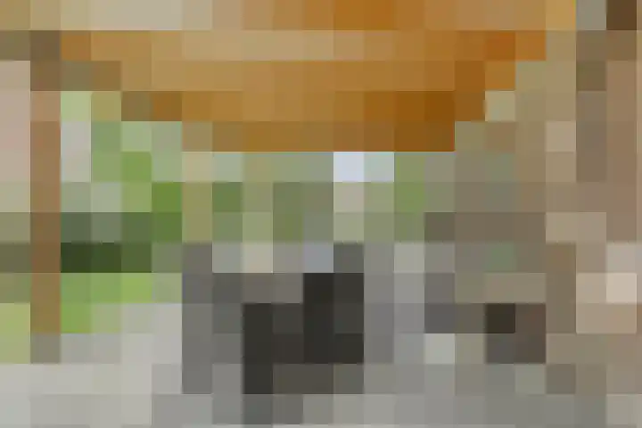 Boskdobbe 5 Frieschepalen thumbnail 44