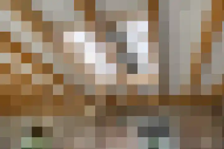 Boskdobbe 5 Frieschepalen thumbnail 45