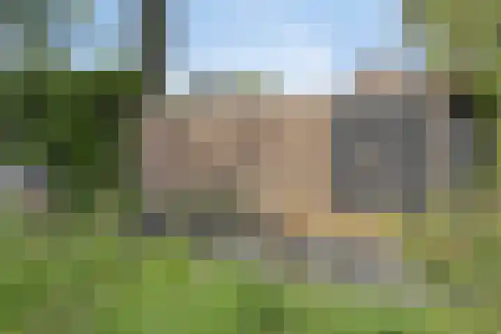 Boskdobbe 5 Frieschepalen thumbnail 48