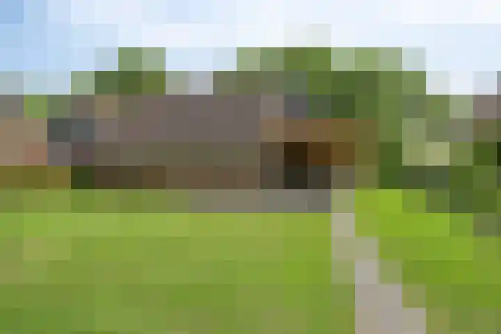 Boskdobbe 5 Frieschepalen thumbnail 49