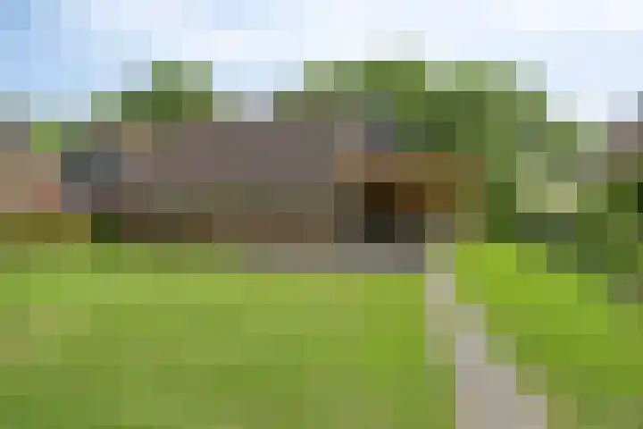 Boskdobbe 5 Frieschepalen thumbnail 5