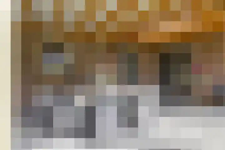 Boskdobbe 5 Frieschepalen thumbnail 51